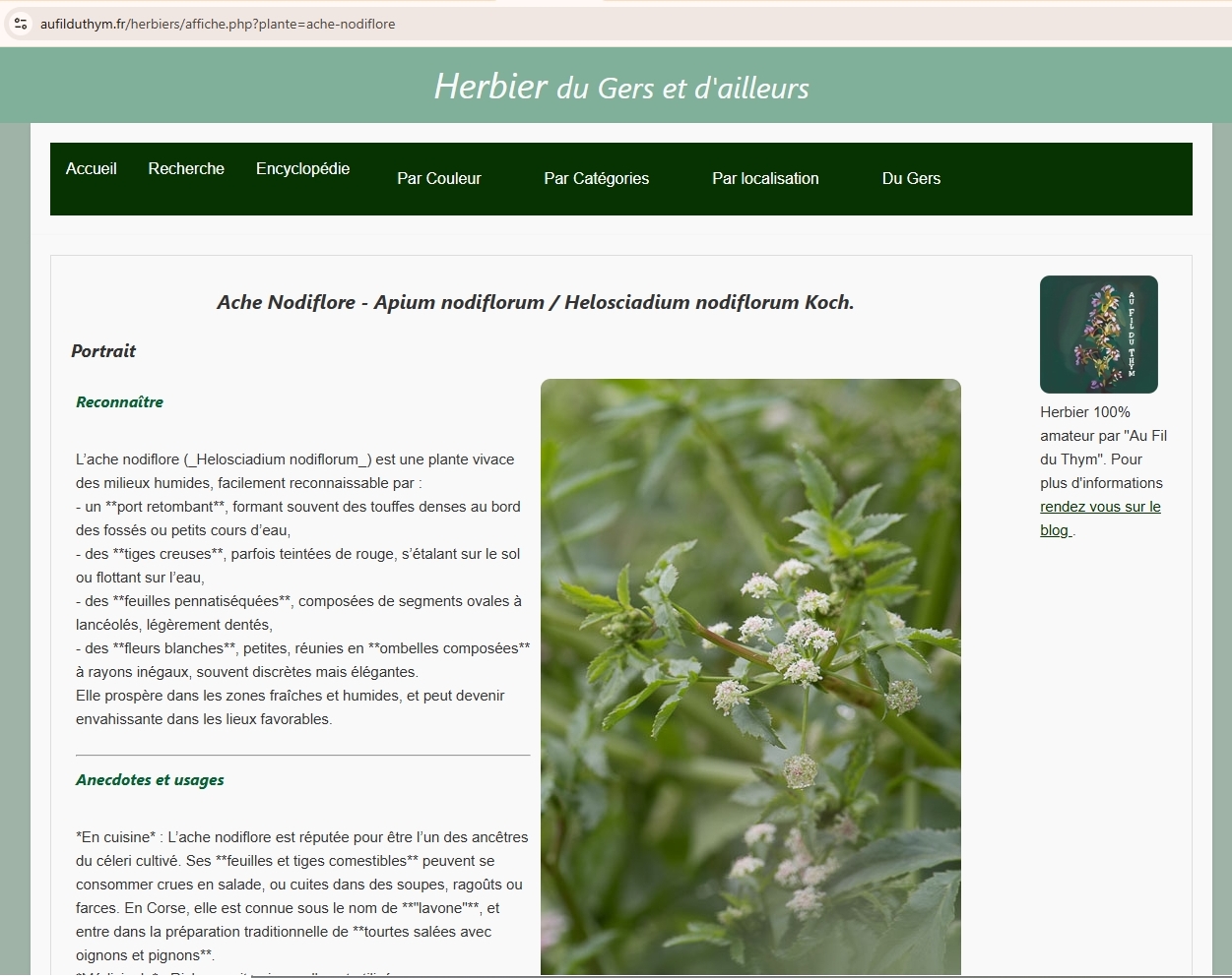 Exemple de page du répertoire Herbier du site aufilduthym.fr